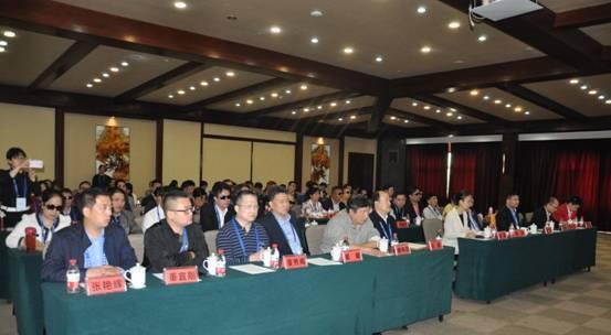 中国盲人协会六届四次会议在嘉兴召开